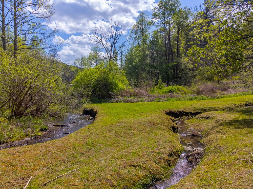 1303 Atoah Road Robbinsville, NC 28771 - Photo 51 of 62