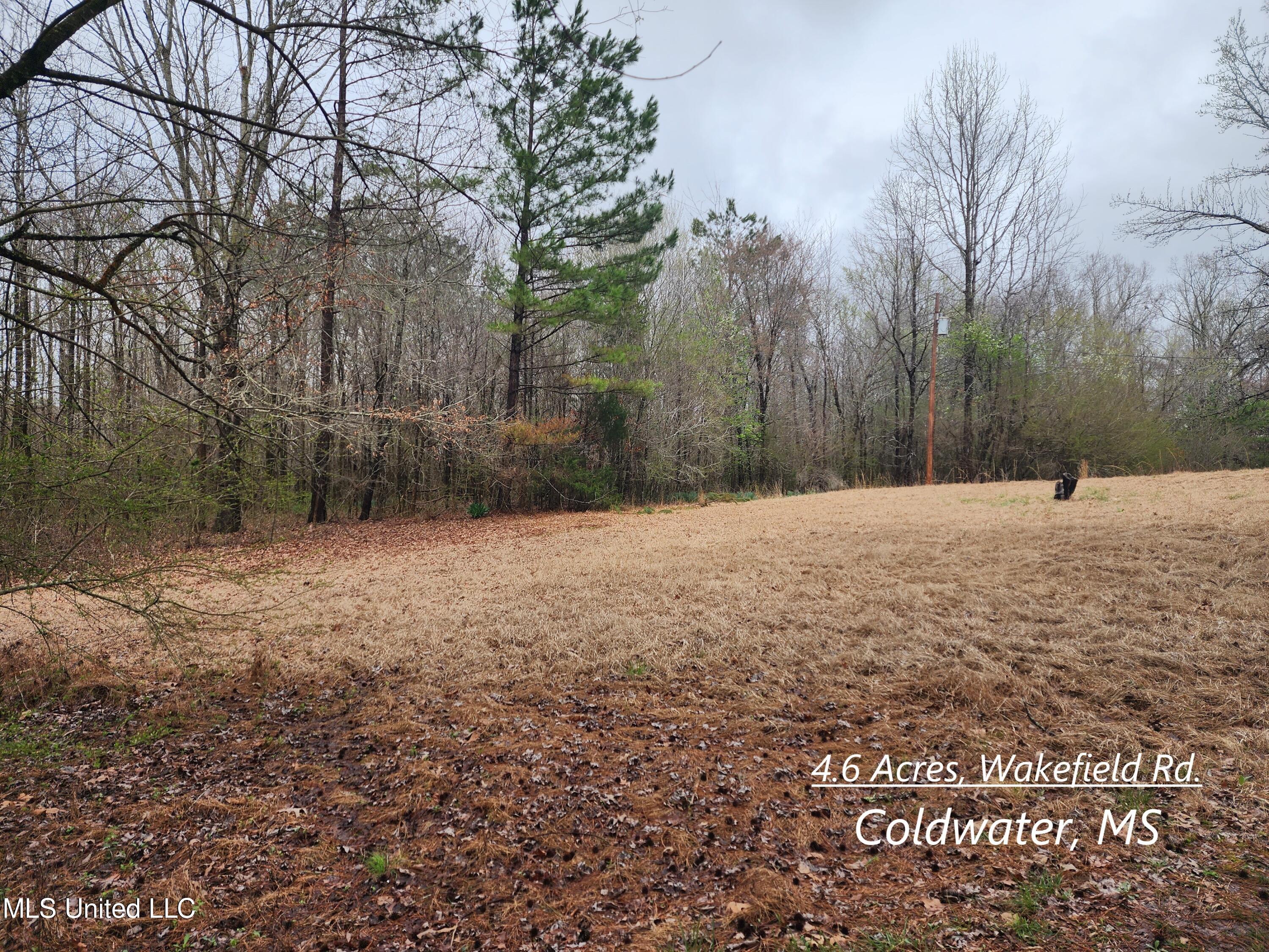 4 Wakefield Road Coldwater, MS 38618 - Photo 1 of 8 1123