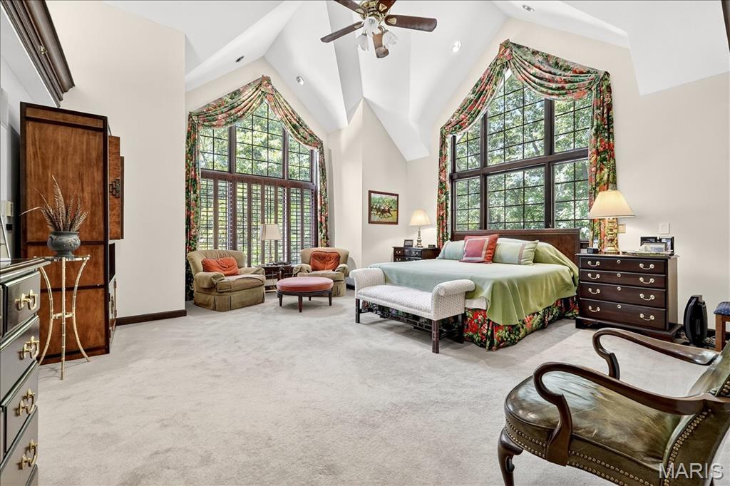 16916 Pacland Ridge Drive Chesterfield, MO 63005 - Photo 29 of 96