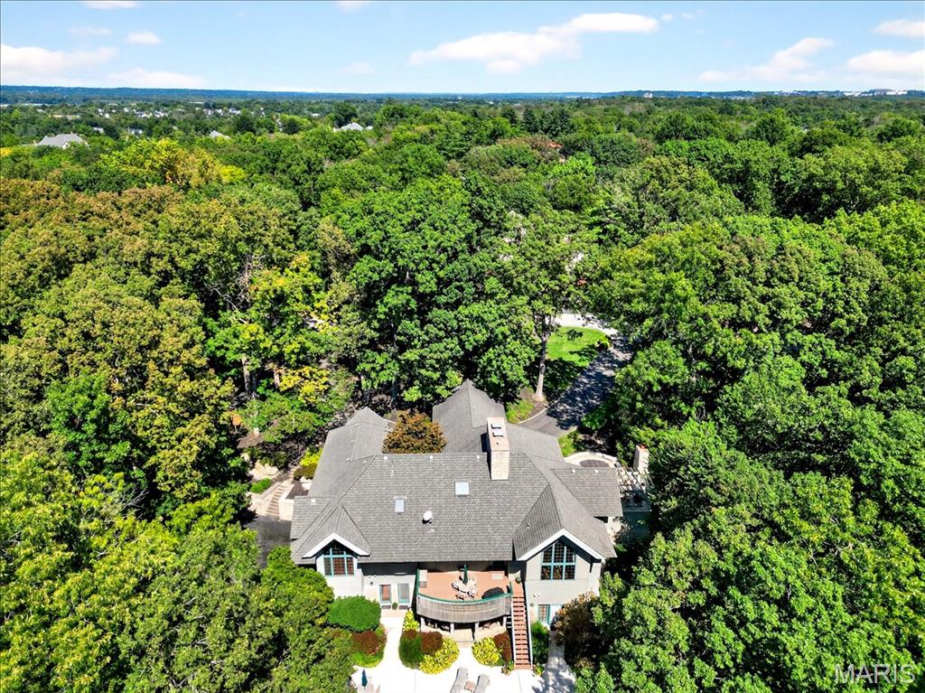 16916 Pacland Ridge Drive Chesterfield, MO 63005 - Photo 93 of 96