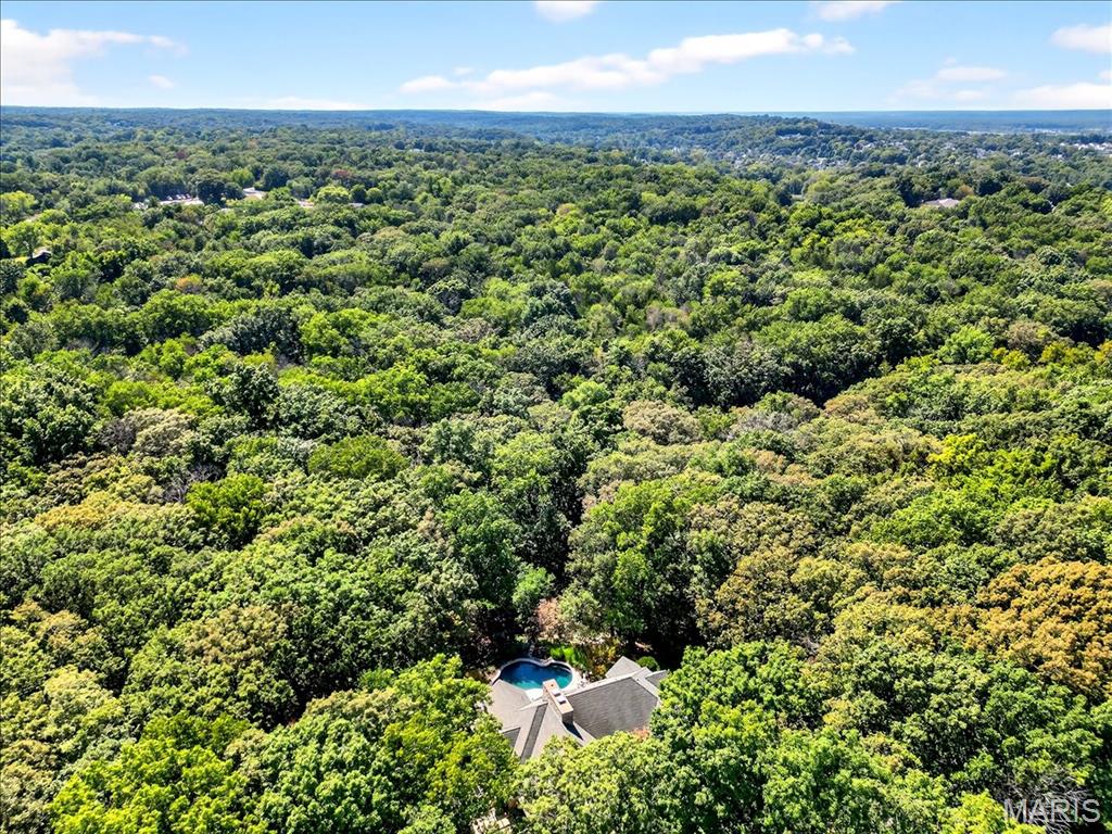 16916 Pacland Ridge Drive Chesterfield, MO 63005 - Photo 95 of 96