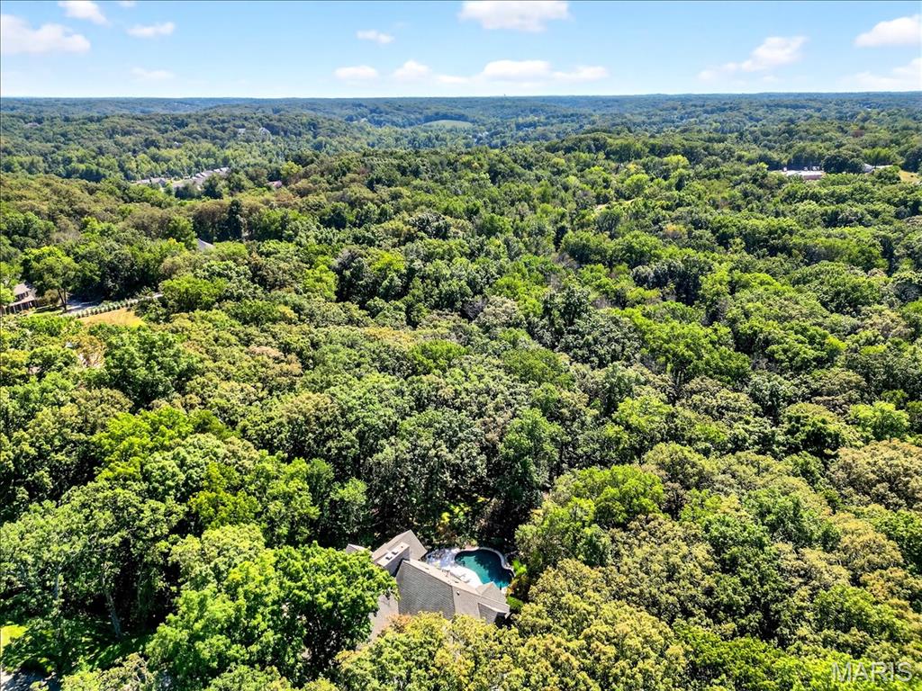 16916 Pacland Ridge Drive Chesterfield, MO 63005 - Photo 96 of 96