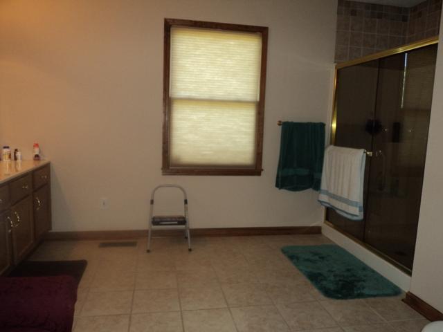 8832 Greer Road Lyles, TN 37098 - Photo 11 of 19 Master Suite Bath
