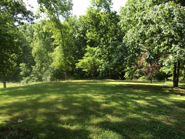 8832 Greer Road Lyles, TN 37098 - Photo 16 of 19 Nice size back yard