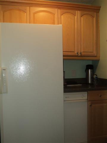 8832 Greer Road Lyles, TN 37098 - Photo 5 of 19 Back door entrance with cabinet, Freezer and Trash Compactor.