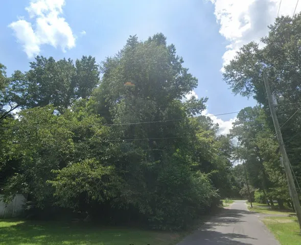 $10,000 | 0 Off Rinelan Road, Orangeburg, SC 29115