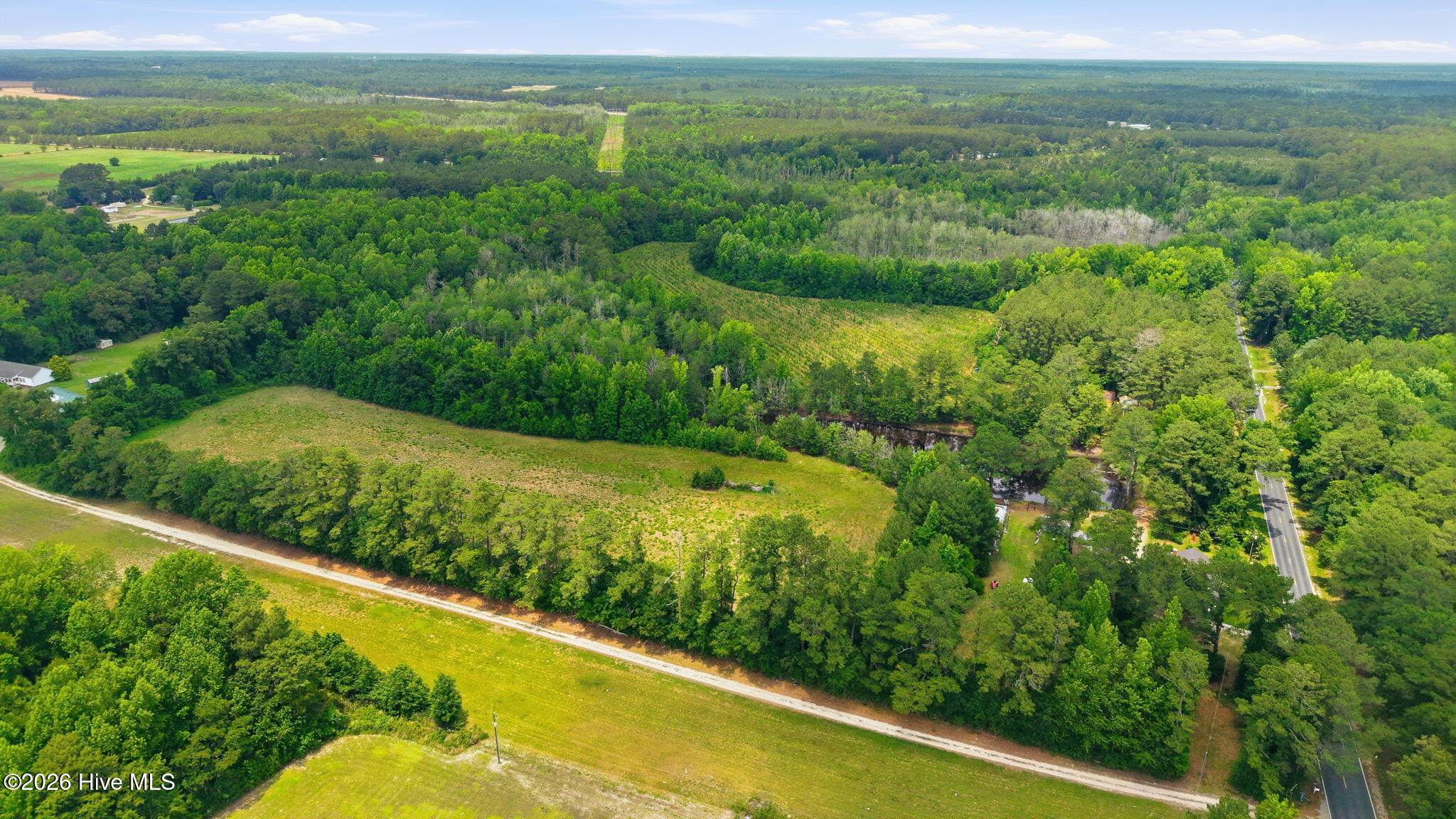 17060 St Johns Church Road Laurel Hill, NC 28351 - Photo 48 of 62