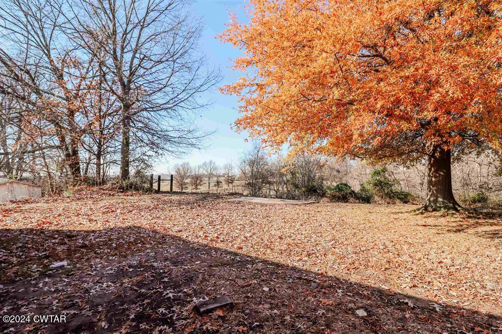 298 Lynn Street Ripley, TN 38063 - Photo 4 of 24 10187020-5f73e3a7-2b17-4d27-b4db-a19b71f
