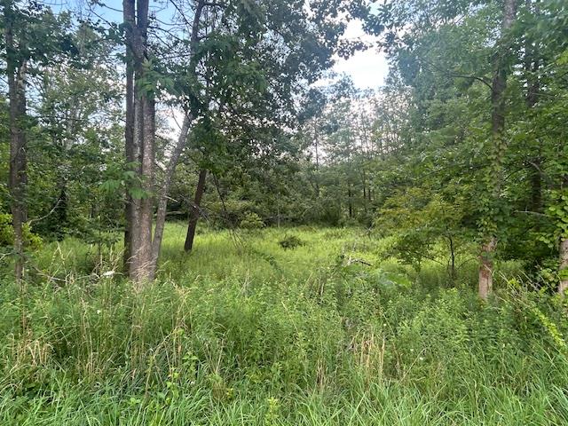 Cragsmoor Road Pine Bush, NY 12566 - Photo 2 of 15 a lush green forest with lots of trees