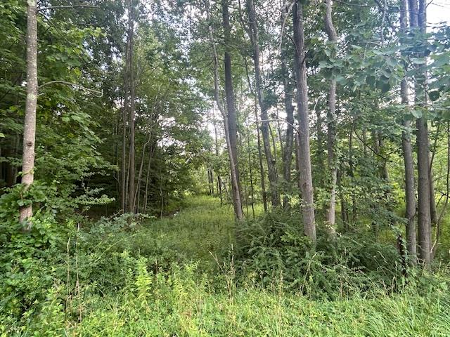 Cragsmoor Road Pine Bush, NY 12566 - Photo 3 of 15 a view of a lush green forest