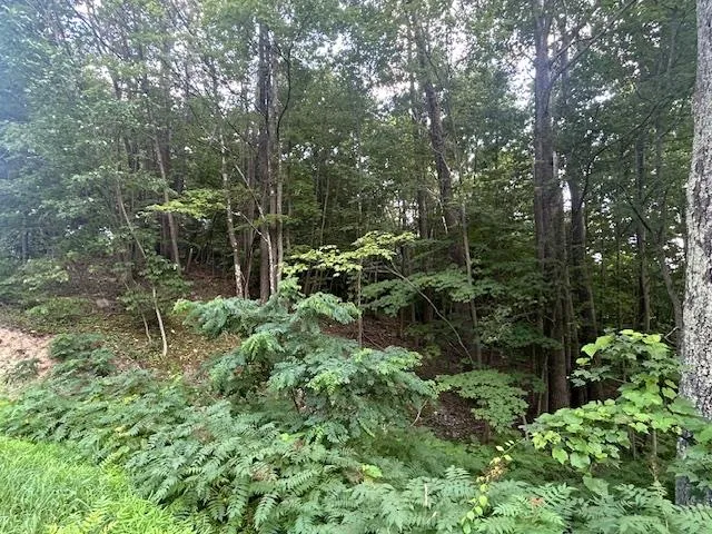 a view of outdoor space and garden