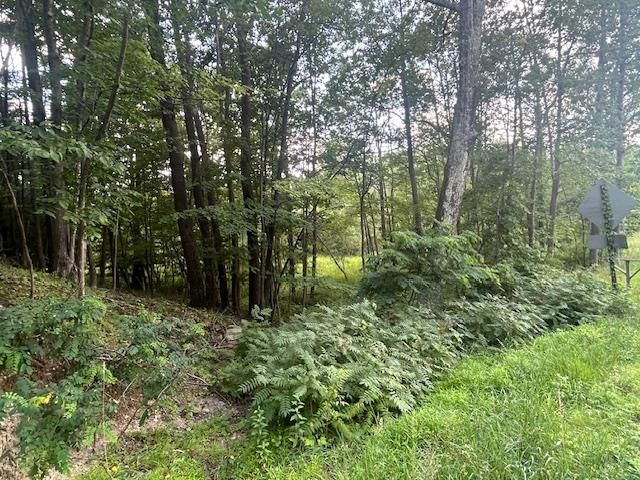 Cragsmoor Road Pine Bush, NY 12566 - Photo 5 of 15 a big yard with lots of green space and deers