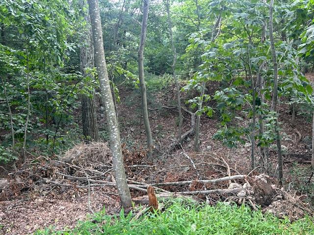 Cragsmoor Road Pine Bush, NY 12566 - Photo 7 of 15 a view of a forest with lots of trees