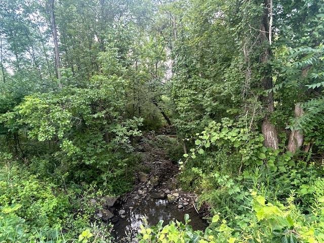 Cragsmoor Road Pine Bush, NY 12566 - Photo 10 of 15 a view of a lush green forest