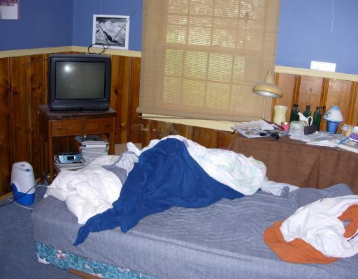 Photo 7
