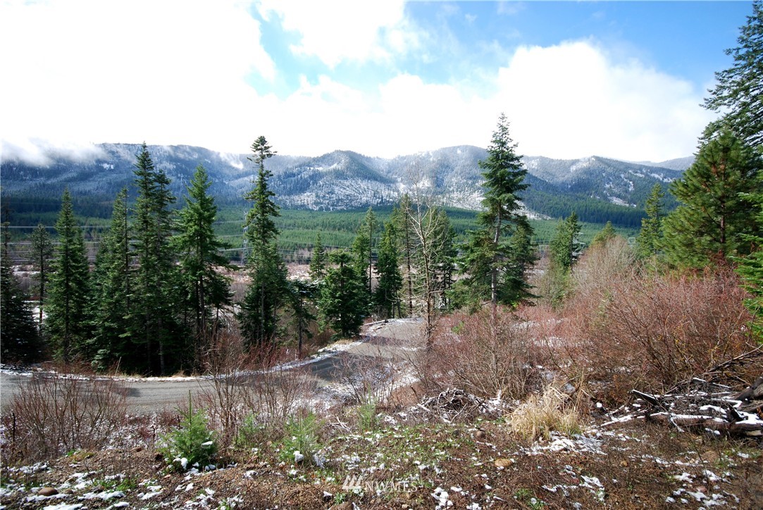 4 Lot 4 Pasco Road Cle Elum, WA 98922 - Photo 1 of 7 Gallery Image 1