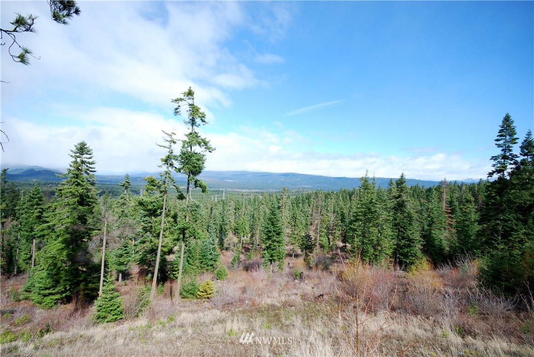 4 Lot 4 Pasco Road Cle Elum, WA 98922 - Photo 3 of 7 Gallery Image 3
