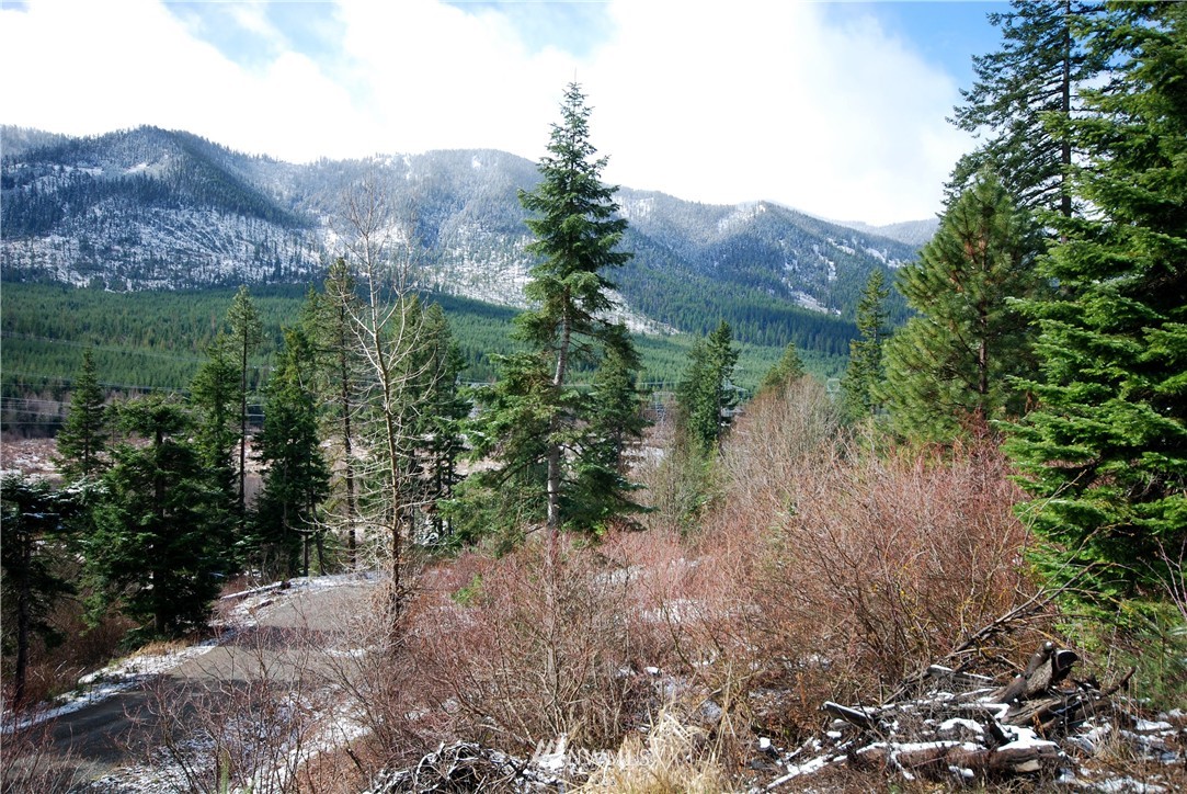 4 Lot 4 Pasco Road Cle Elum, WA 98922 - Photo 4 of 7 Gallery Image 4