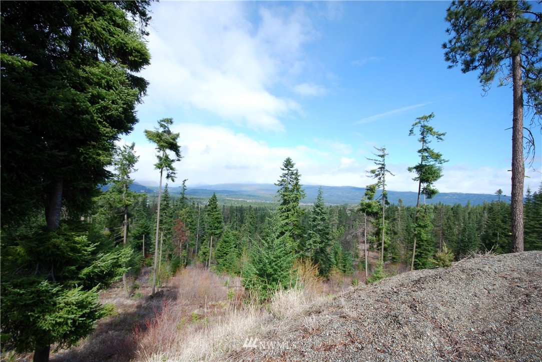 4 Lot 4 Pasco Road Cle Elum, WA 98922 - Photo 6 of 7 Gallery Image 6