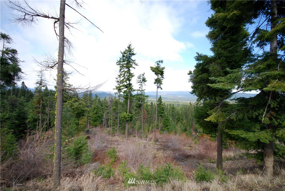 4 Lot 4 Pasco Road Cle Elum, WA 98922 - Photo 7 of 7 Gallery Image 7