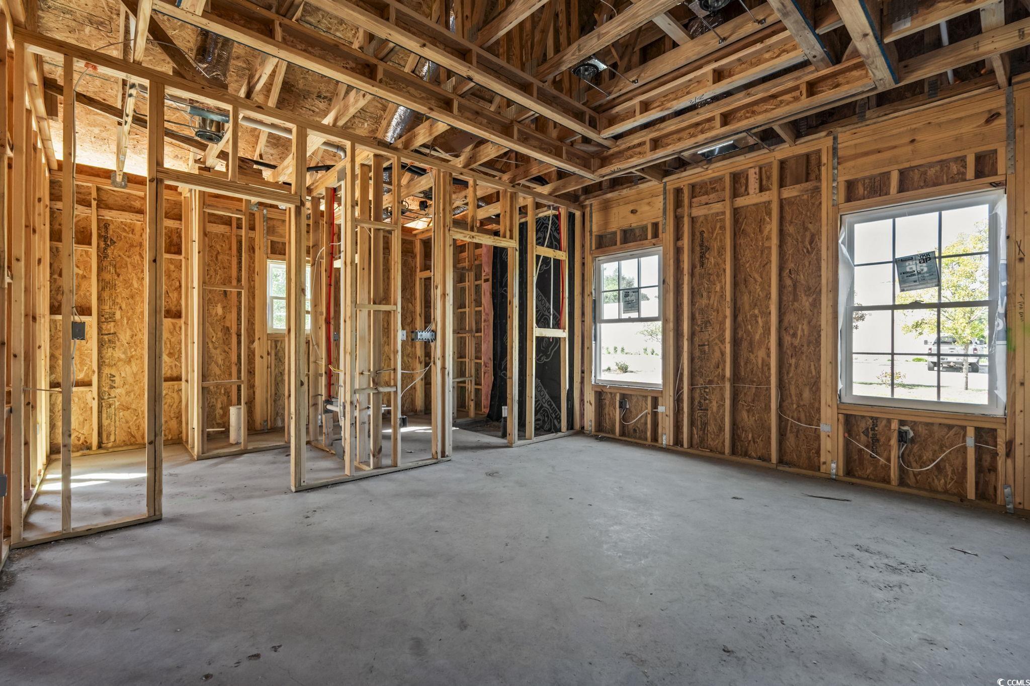 2090 Highway 9 Business Loris, SC 29569 - Photo 11 of 19 Primary Suite featuring a tray ceiling, carpet flooring, walk in closet, primary bathroom, and windows.