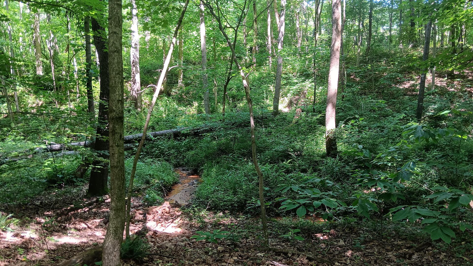 0 681st Road, Unit ALBANY HIDEAWAY TRACT 4) Albany, OH 45710 - Photo 27 of 47
