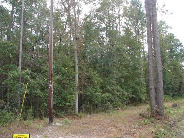 0 Kieffer Road Springfield, GA 31329 - Photo 1 of 1