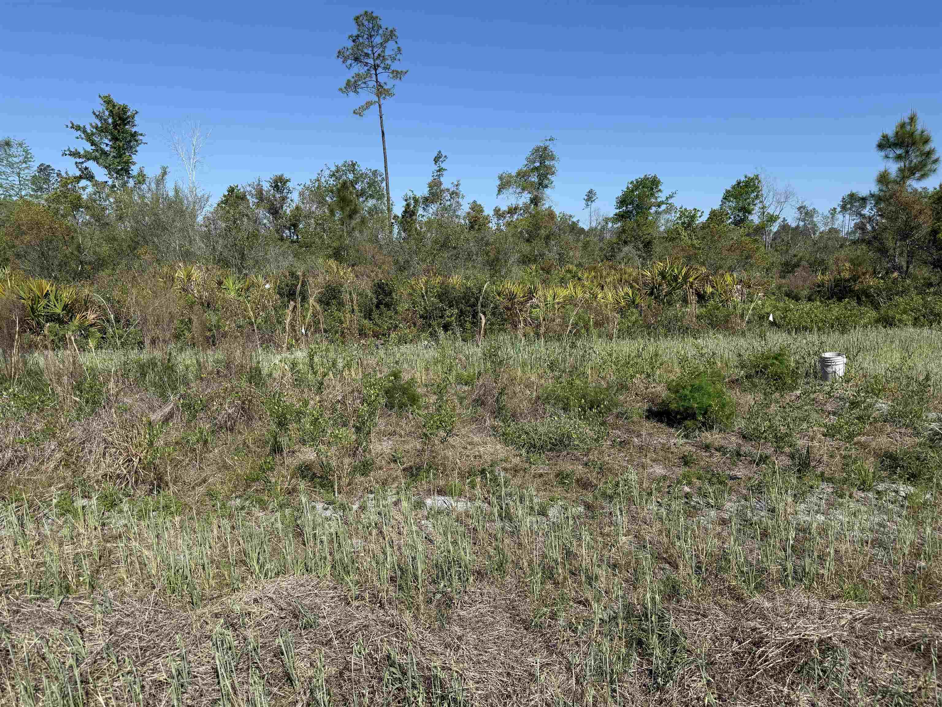 0 Madison Main Line Road Perry, FL 32347 - Photo 26 of 50