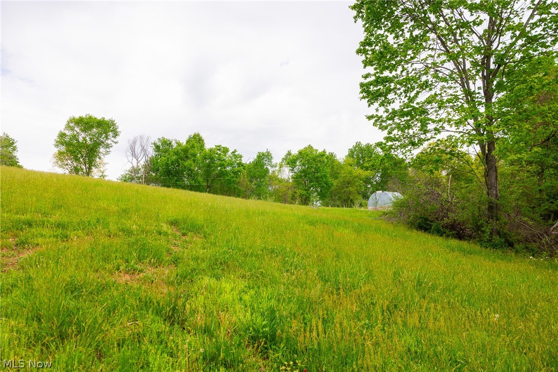 37795 Sheepskin Ridge Road Lower Salem, OH 45745 - Photo 18 of 31 Gallery Image 18