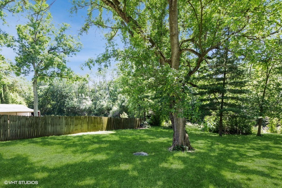 6415 North Shore Avenue Spring Grove, IL 60081 - Photo 14 of 15 a view of a lush green forest