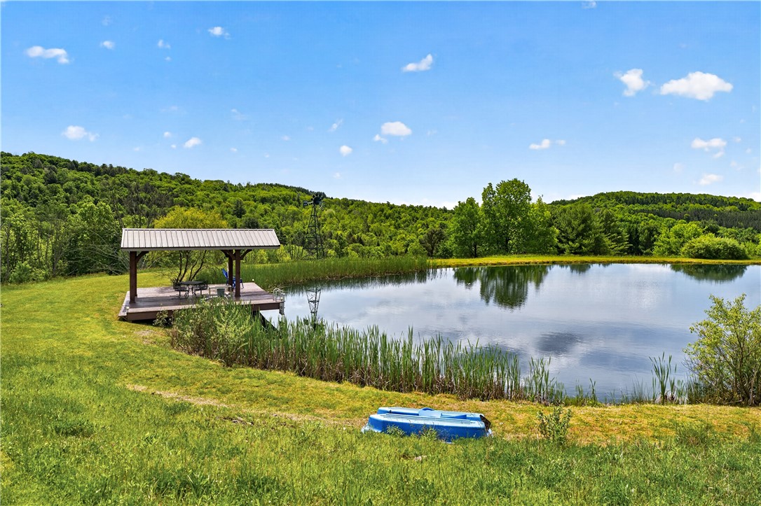 121 Lang Road Spencer, NY 14883 - Photo 13 of 49