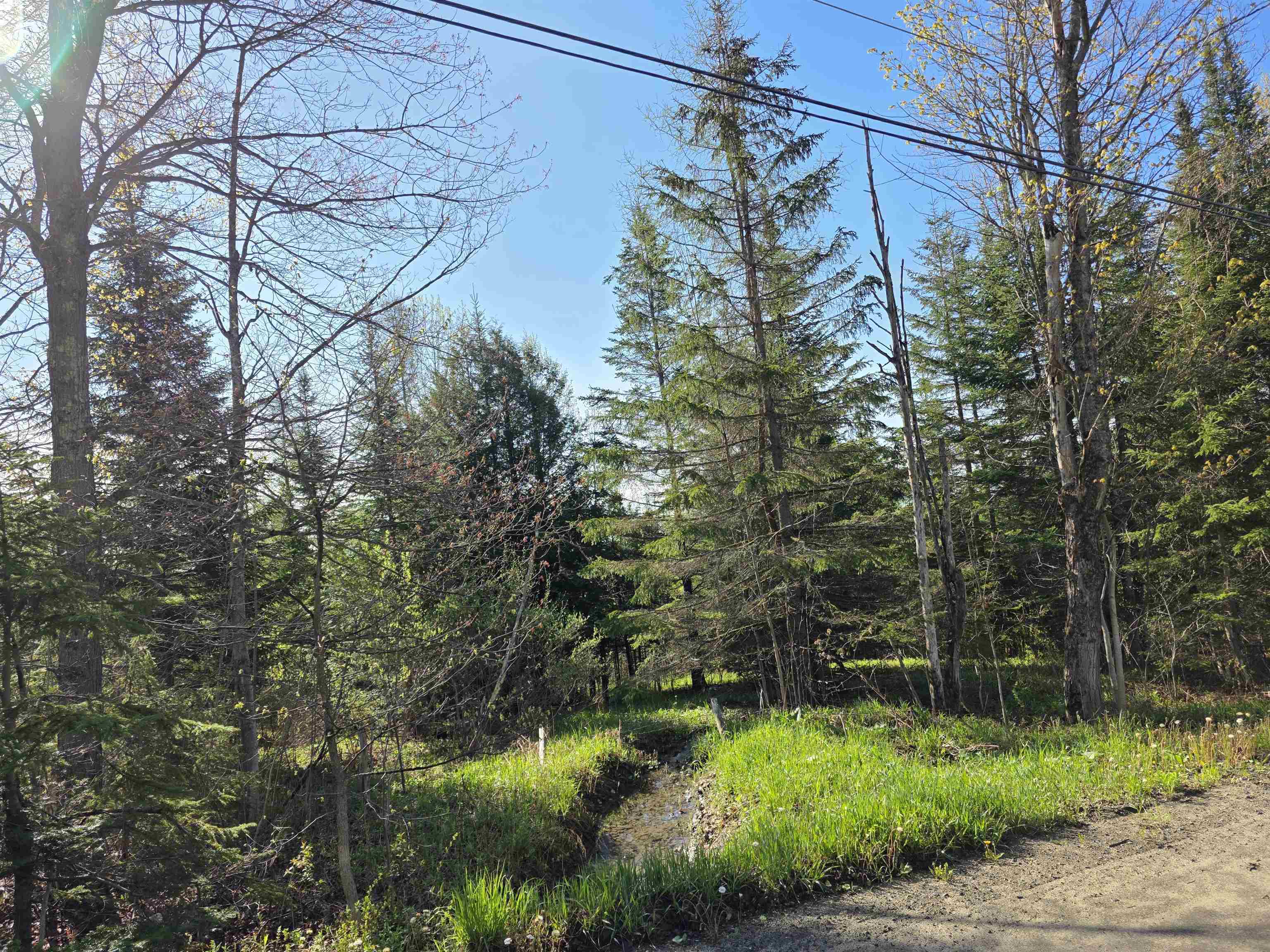 0 Old Coach Road, Unit 4 Lyndonville, VT 05851 - Photo 3 of 31
