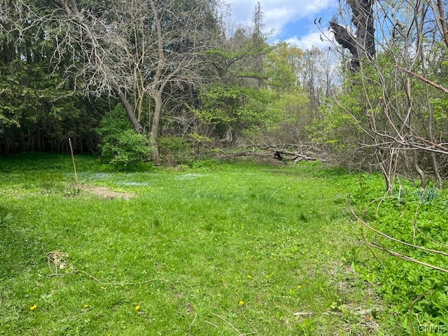9605 Morgan Road Paris, NY 13322 - Photo 11 of 11