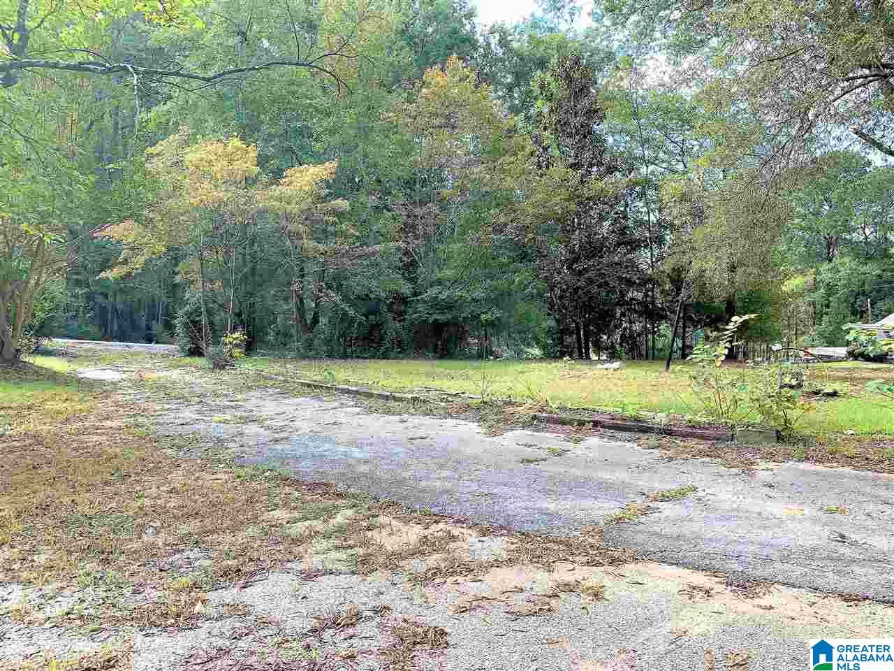 163 Bennett Street Heflin, AL 36264 - Photo 5 of 21