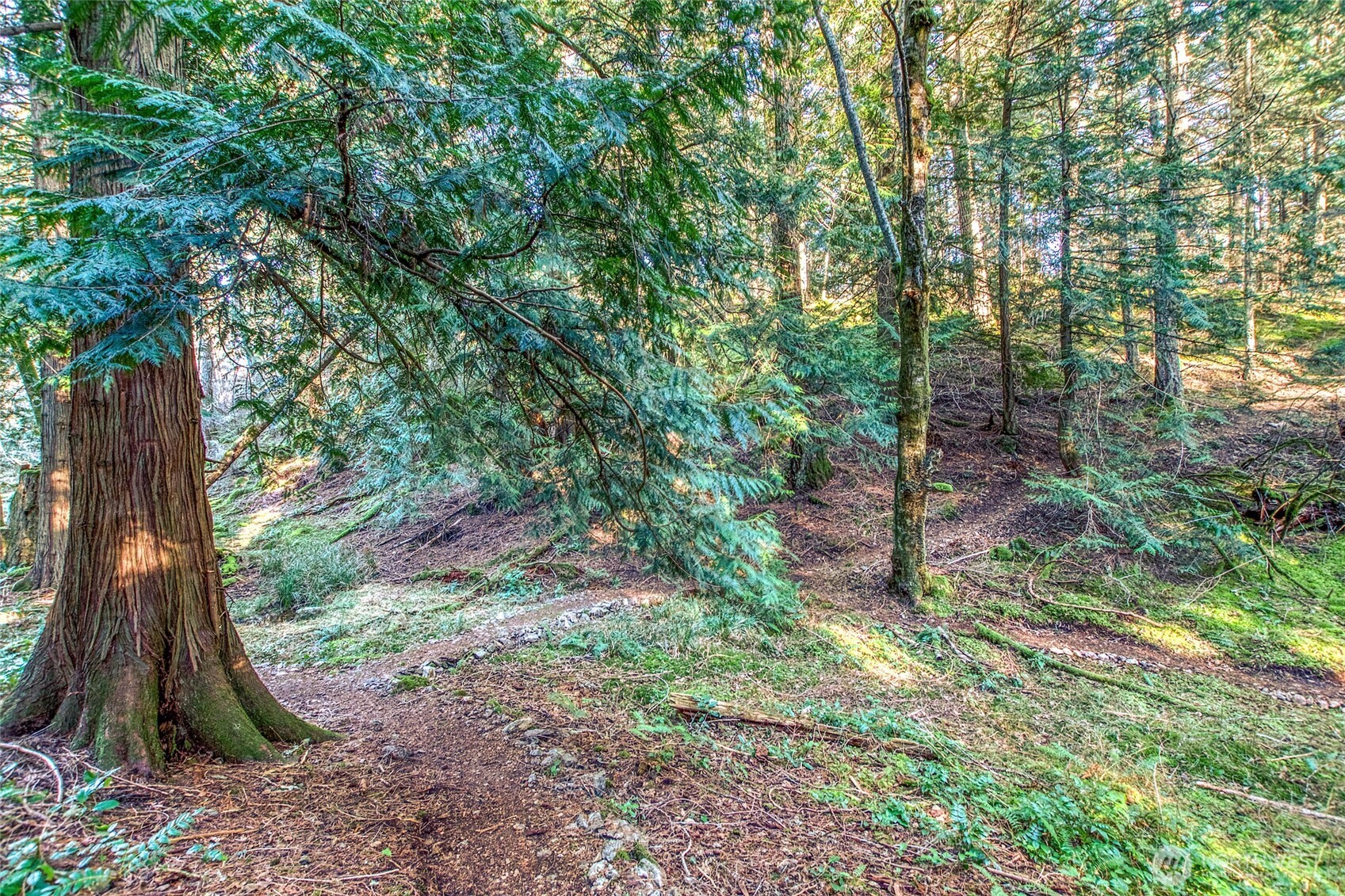 749 Spring Hill Road Orcas Island, WA 98245 - Photo 33 of 36