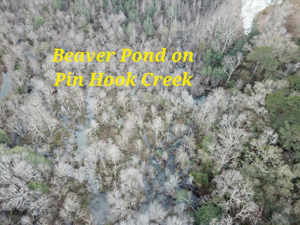 50.45-acres Trawick Road Dothan, AL 36301 - Photo 7 of 62