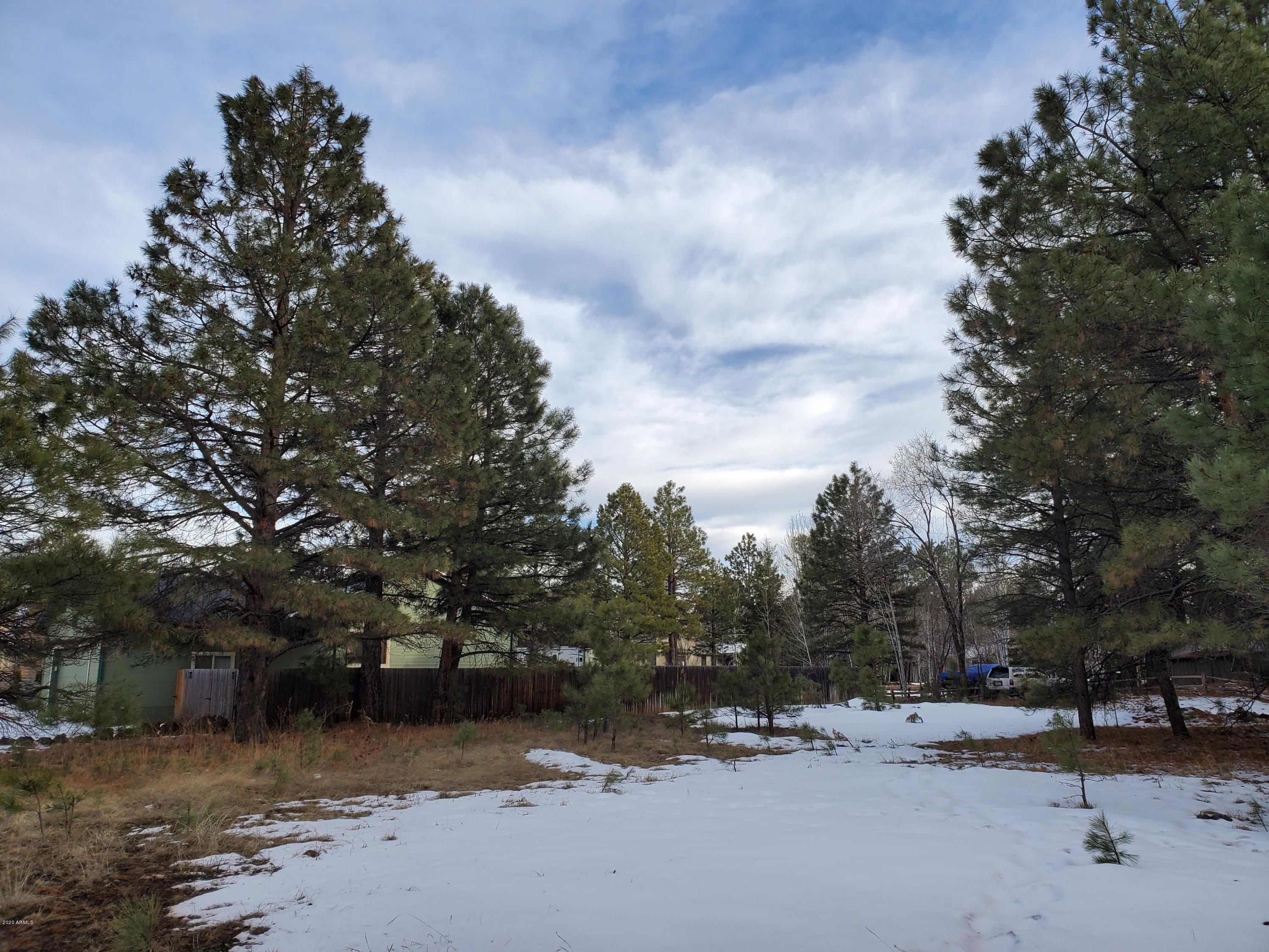 4971 Buck Springs Road, Unit 248 Pinetop, AZ 85935 - Photo 3 of 11 20200206_163402