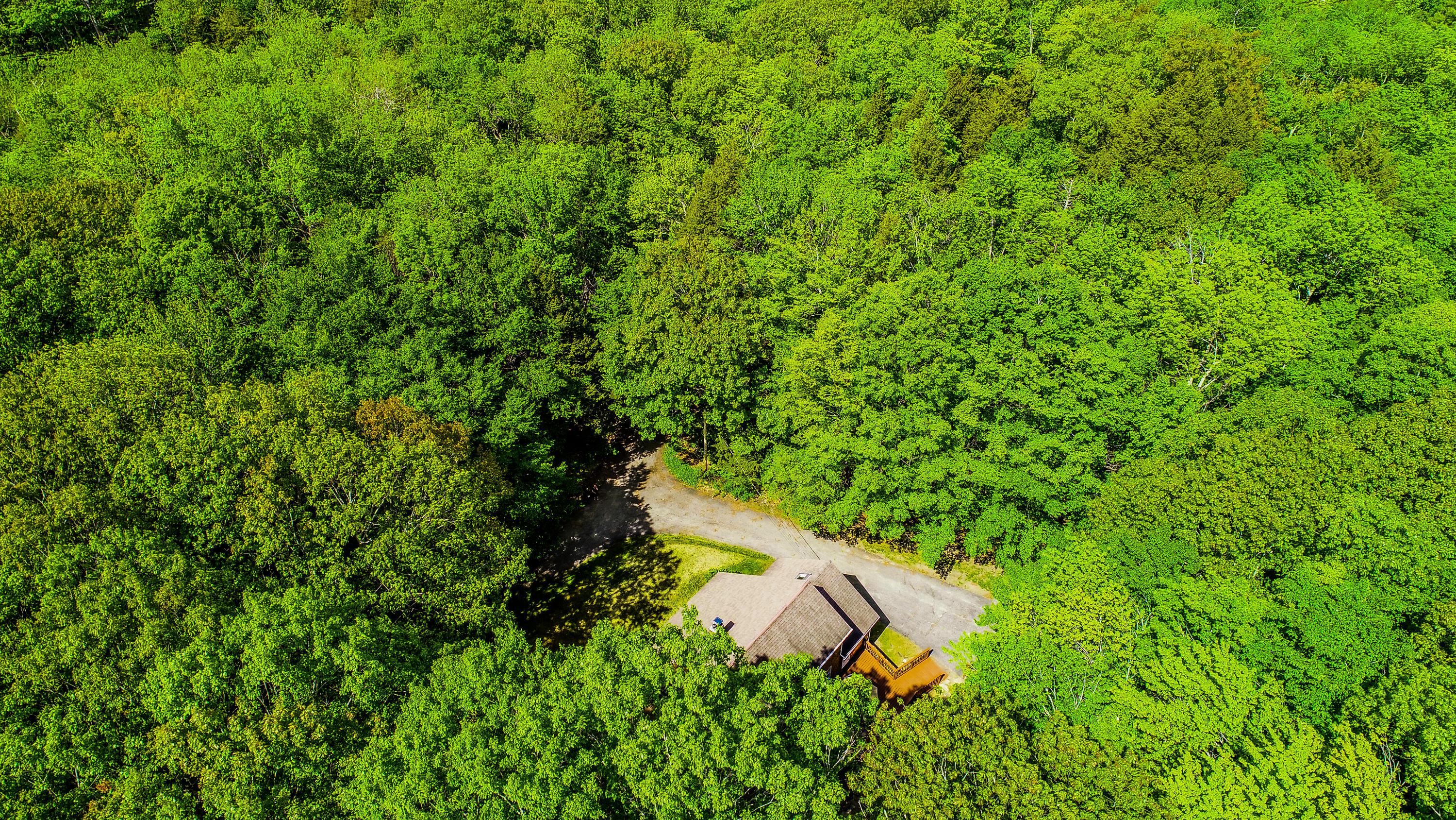 225 Chase Road Readfield, ME 04355 - Photo 42 of 44 Chase Rd.-41