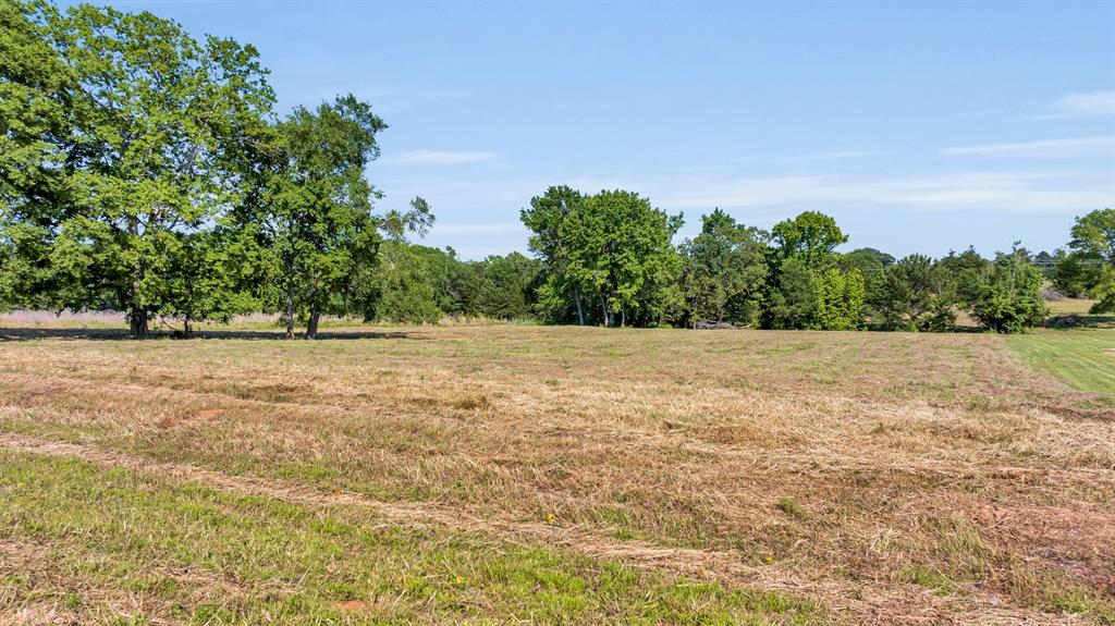 Tbd Ridgeway Court, Unit 3 Winona, TX 75792 - Photo 5 of 8 a view of plants and large trees
