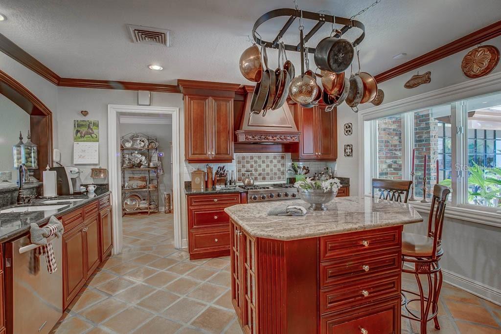 11002 Lake Butler Boulevard Windermere, FL 34786 - Photo 10 of 62