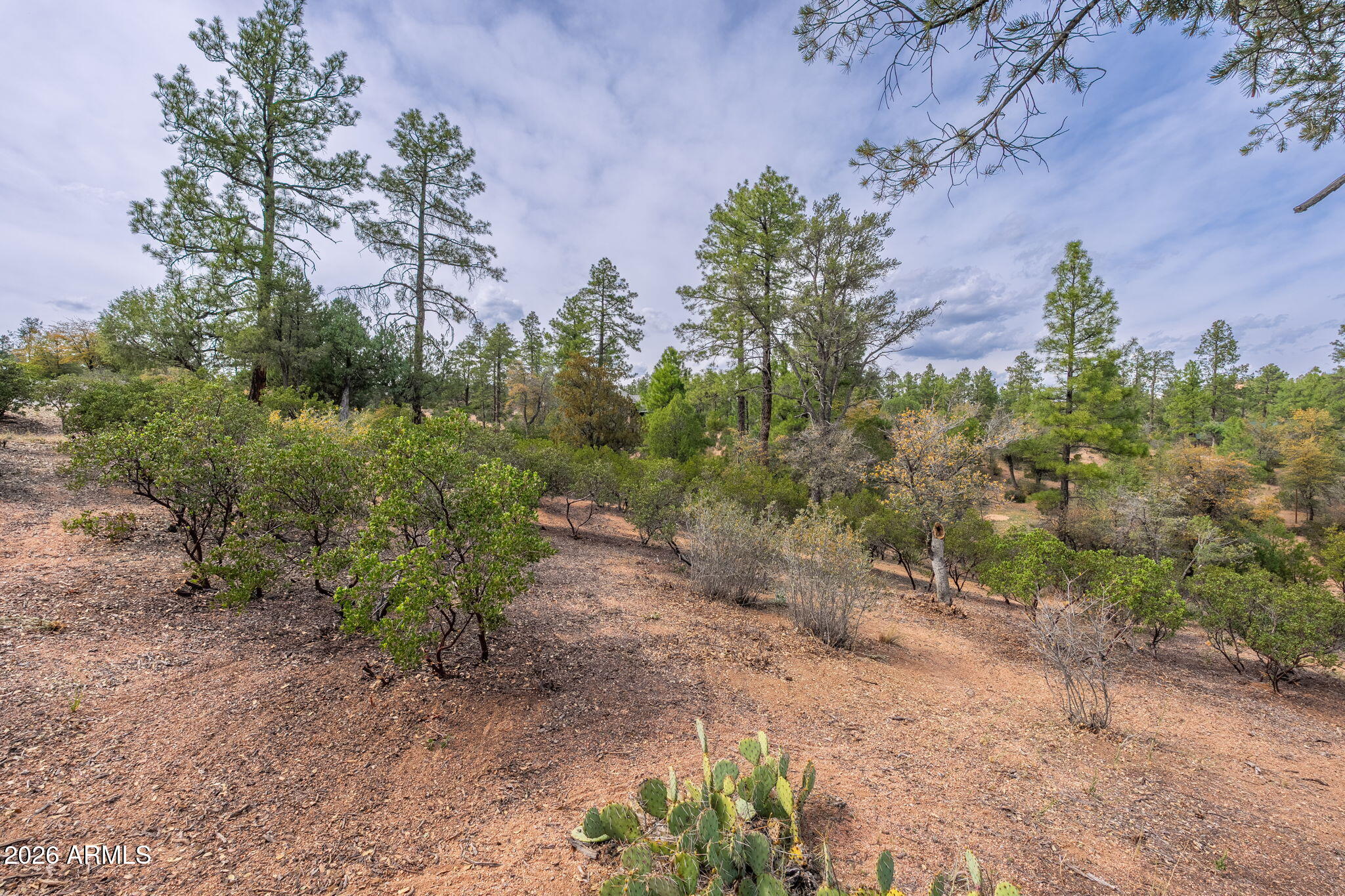 3008 East Arrow Point, Unit 232 Payson, AZ 85541 - Photo 9 of 22 3008 E Arrow Point - 06