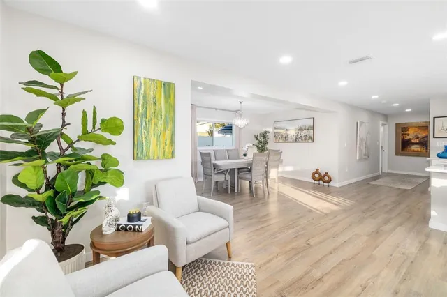 a living room with furniture a plant and a potted plant