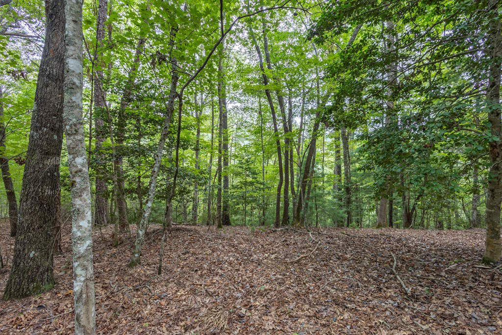 Lot 26 Persimmon Hts Road Murphy, NC 28906 - Photo 7 of 9