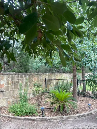 $1,850 | 12815 Sand Holly, San Antonio, TX 78253