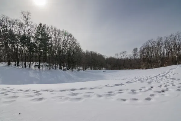 a view of a yard with snow on the road