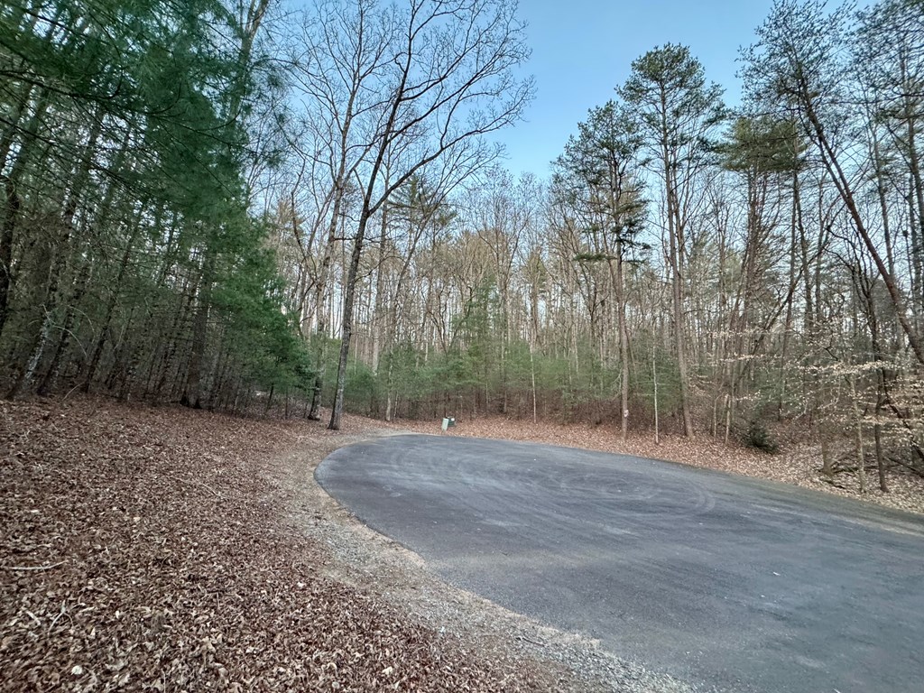 7 Mountain Springs Road Ellijay, GA 30540 - Photo 12 of 52 Gallery Image 12