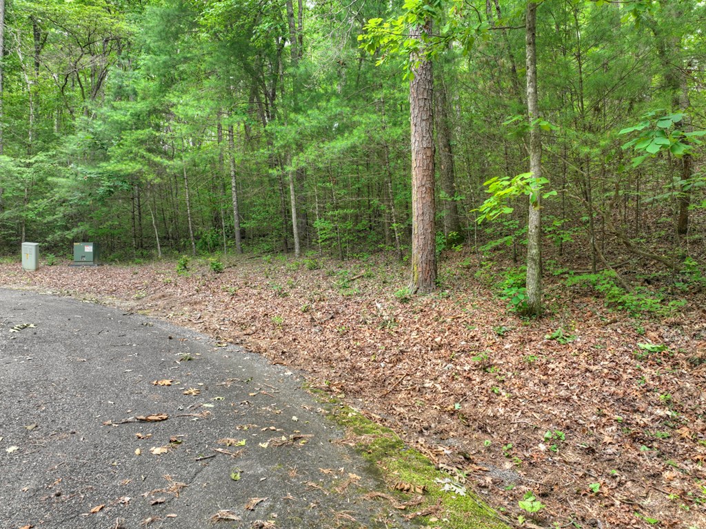 7 Mountain Springs Road Ellijay, GA 30540 - Photo 27 of 52 Gallery Image 27
