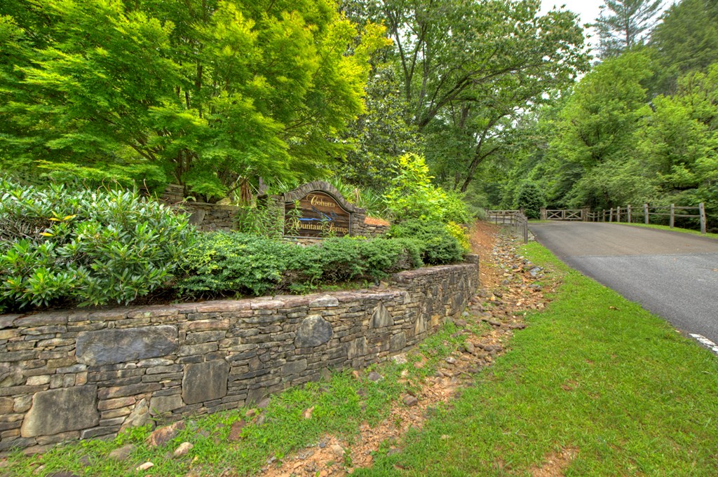 7 Mountain Springs Road Ellijay, GA 30540 - Photo 29 of 52 Gallery Image 29