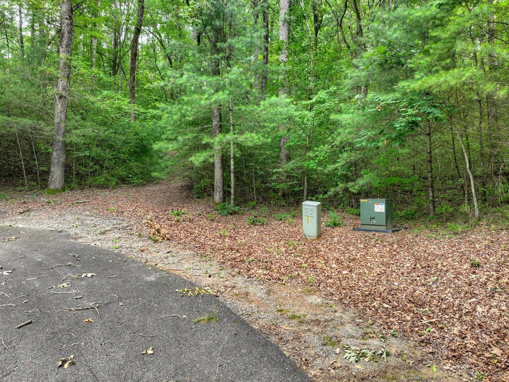 7 Mountain Springs Road Ellijay, GA 30540 - Photo 30 of 52 Gallery Image 30