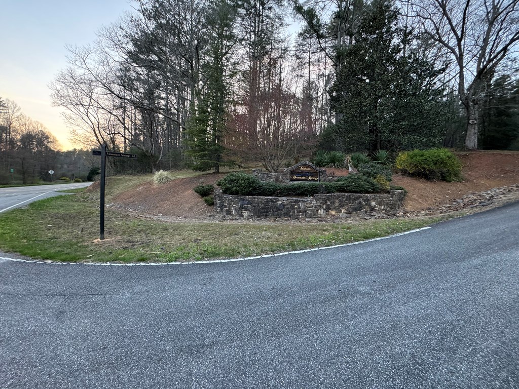 7 Mountain Springs Road Ellijay, GA 30540 - Photo 3 of 52 Gallery Image 3